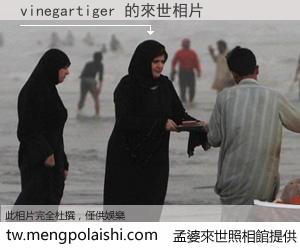 vinegartiger 來世的未來相片