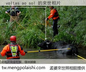 voltas ao sol 來世的未來相片