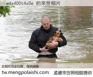 wds400t4x0e 來世的未來相片