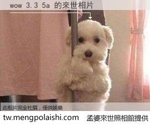wow 3.3 5a 來世的未來相片