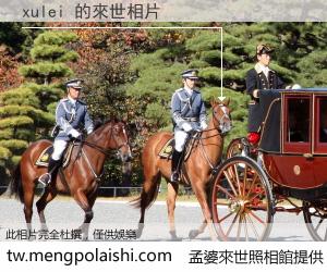 xulei 來世的未來相片