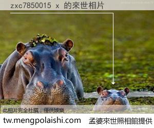 zxc7850015 x 來世的未來相片