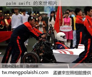 palm swift 來世的未來相片