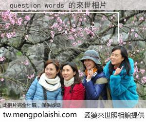 question words 來世的未來相片