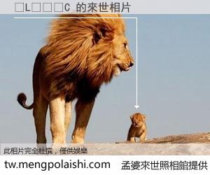 �L���C 來世的未來相片