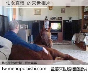 仙女直博 來世的未來相片