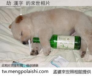 劫 漢字 來世的未來相片