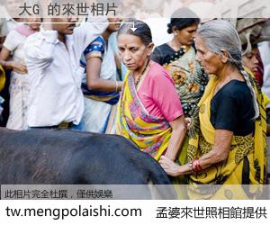 大G 來世的未來相片