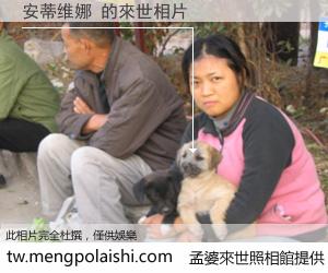 安蒂维娜 來世的未來相片