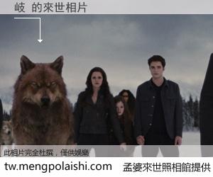 岐 來世的未來相片