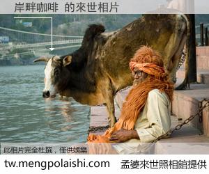 岸畔咖啡 來世的未來相片