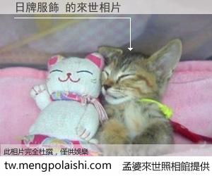 日牌服飾 來世的未來相片