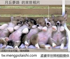 月丘夢路 來世的未來相片