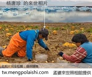杨唐珍 來世的未來相片