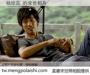 杨欣蕊 來世的未來相片