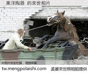 東洋陶器 來世的未來相片