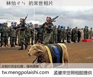 林怡ㄔㄣ 來世的未來相片