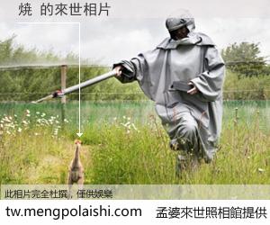 焼 來世的未來相片