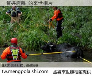 督導府縣 來世的未來相片