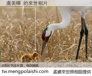 虞美曄 來世的未來相片