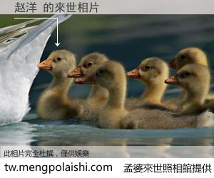 赵洋 來世的未來相片