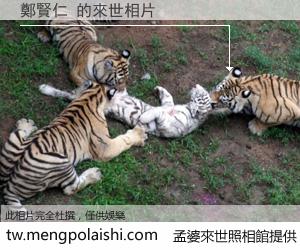 鄭賢仁 來世的未來相片