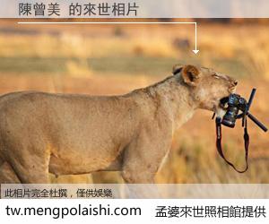 陳曾美 來世的未來相片