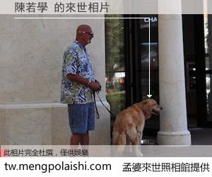 陳若學 來世的未來相片