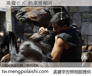 高爾ㄈㄨ 來世的未來相片