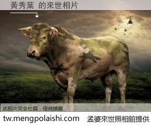 黃秀葉 來世的未來相片