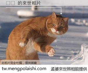 구젠 來世的未來相片