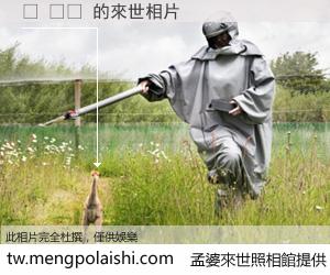 총 등급 來世的未來相片