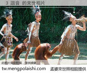 3 諧音 來世的未來相片