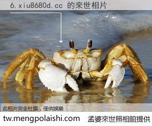 6.xiu8680d.cc 來世的未來相片