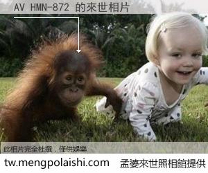 AV HMN-872 來世的未來相片