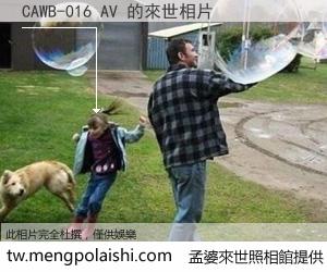 CAWB-016 AV 來世的未來相片
