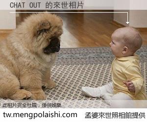 CHAT OUT 來世的未來相片