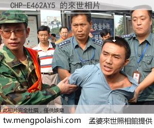 CHP-E462AY5 來世的未來相片