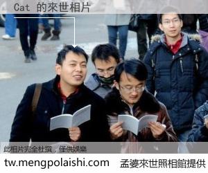 Cat 來世的未來相片