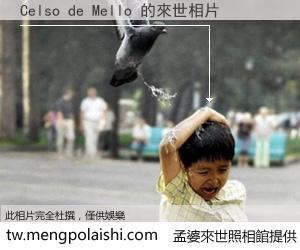 Celso de Mello 來世的未來相片