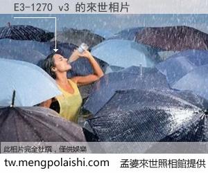 E3-1270 v3 來世的未來相片