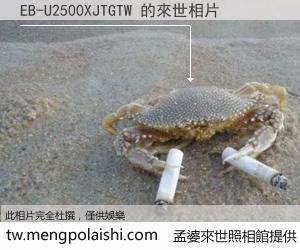 EB-U2500XJTGTW 來世的未來相片