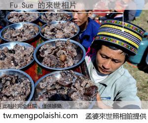 Fu Sue 來世的未來相片