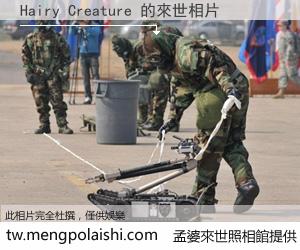 Hairy Creature 來世的未來相片