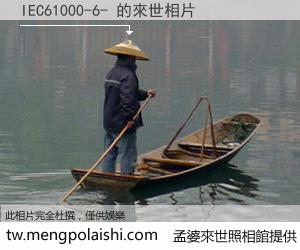 IEC61000-6- 來世的未來相片