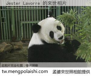 Jester Lavorre 來世的未來相片