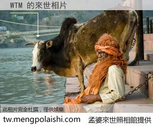 WTM 來世的未來相片