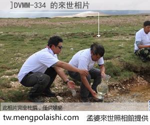 ]DVMM-334 來世的未來相片