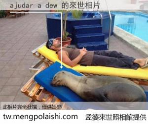 ajudar a dew 來世的未來相片
