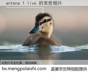 antena 1 live 來世的未來相片